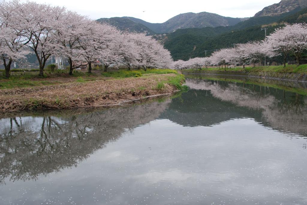 Guest House Itokawa Matsuzaki  Экстерьер фото